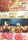 Aggregation, 1994, Collage