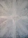 Cross, 1992