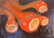 Dedicated to music, 2007