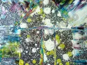 House - home celestial d d, 2012