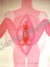 Curves are beauty, 1999, Olio su tela
