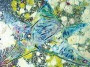 Star d d, 2012