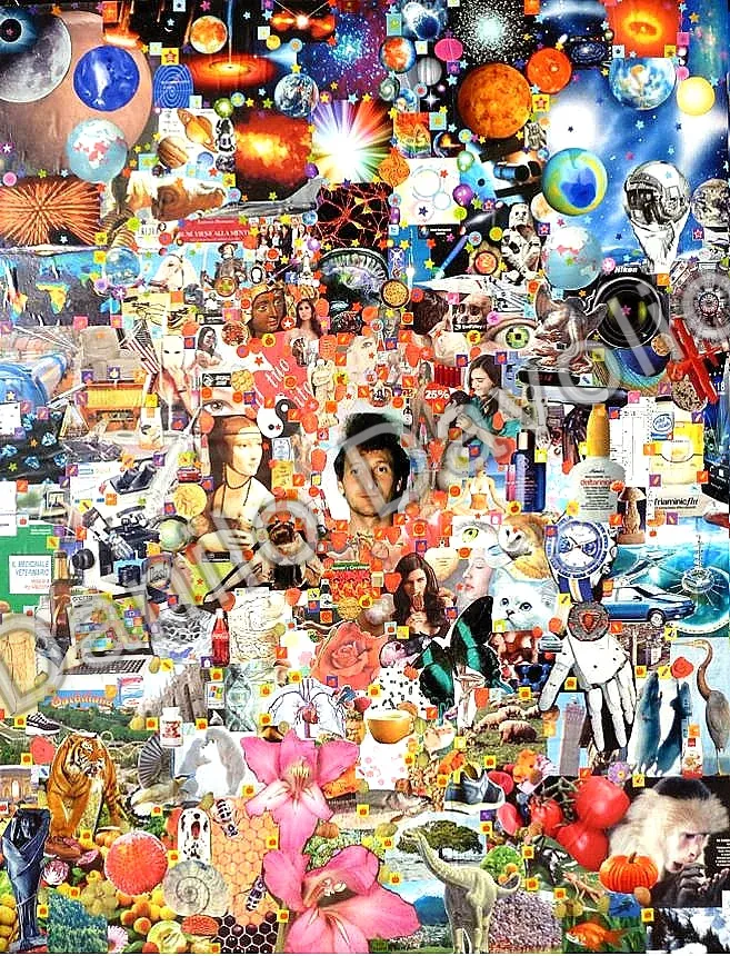 Autodaf é self-portrait, 2013, Collage