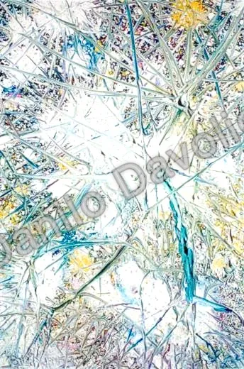 Brain III, 2003, Olio su cartone