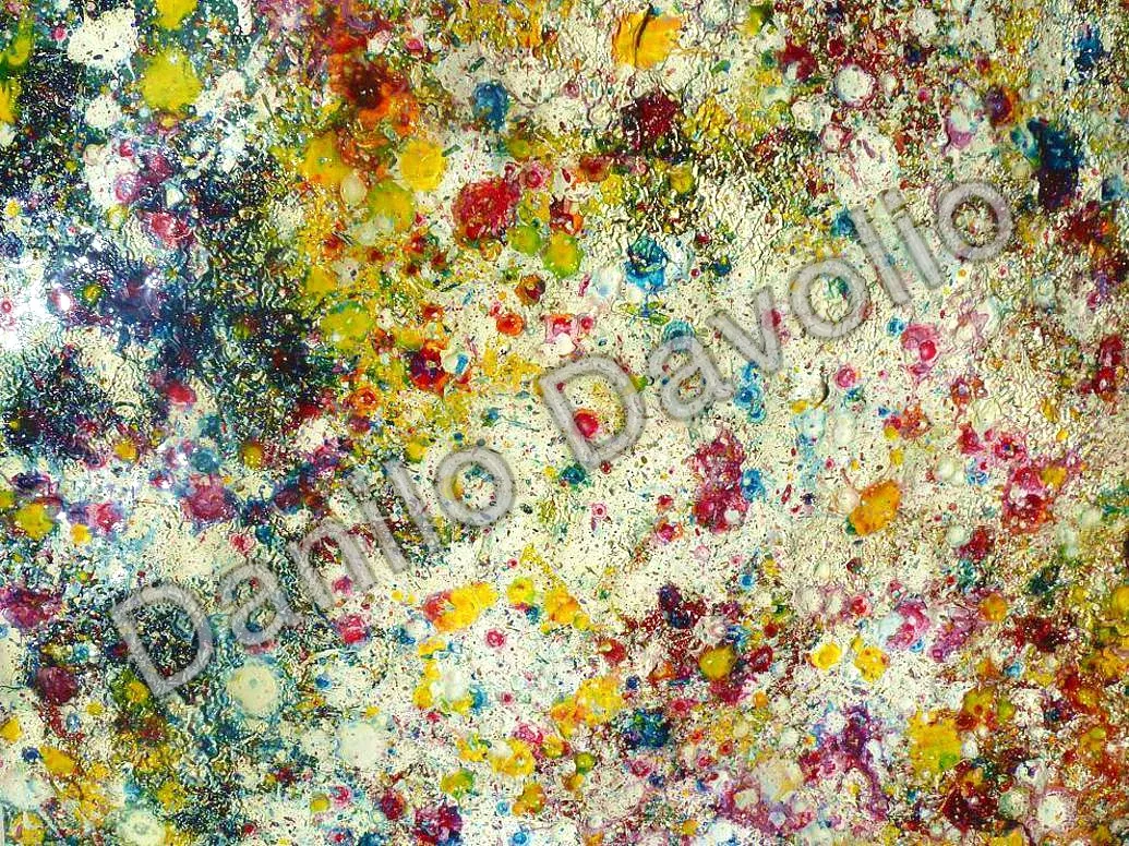 First born caos III, 2016, Olio su cartone