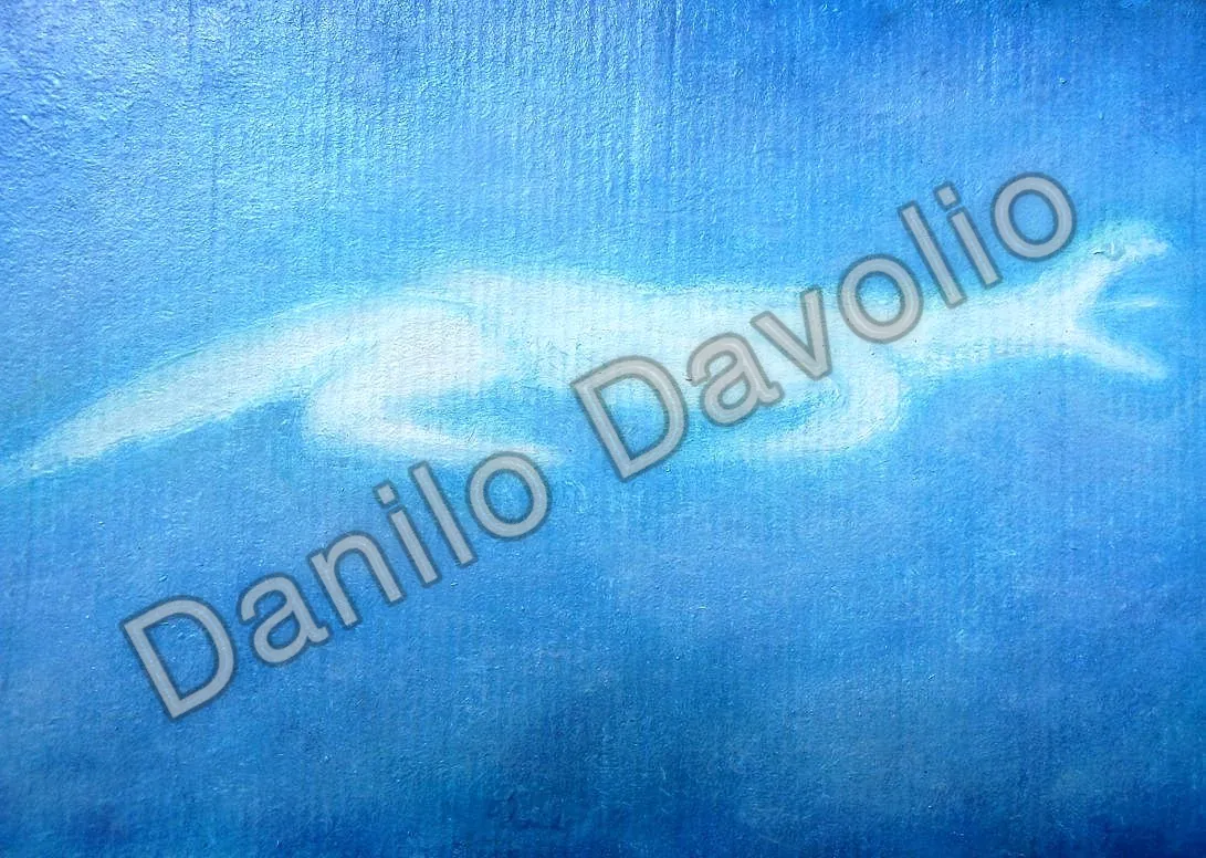 Clouds 12075, 2017, Olio su cartone