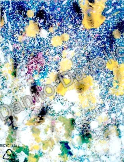 To Burri II, 2003, Olio su cartone